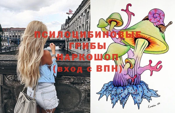 метадон Аркадак